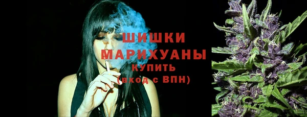 mix Богородск