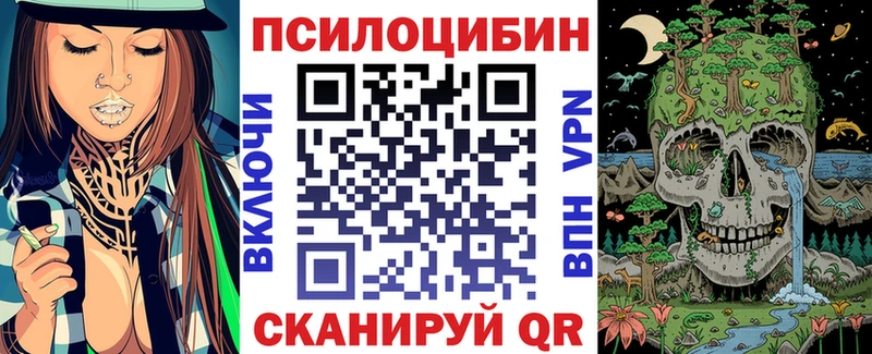 Псилоцибиновые грибы Psilocybine cubensis  закладка  Духовщина 