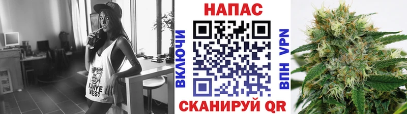 Конопля ГИДРОПОН Духовщина